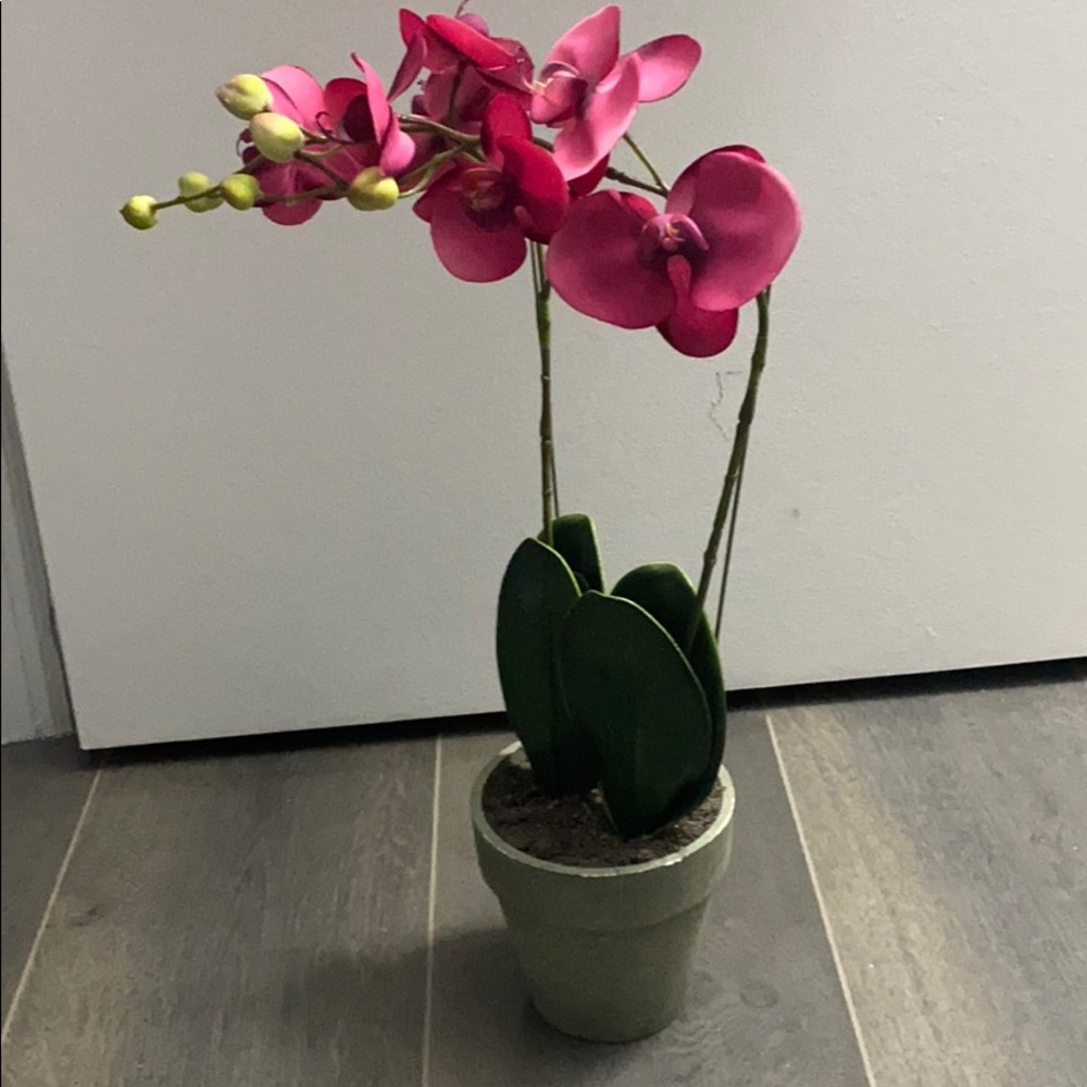 Great for House decoration